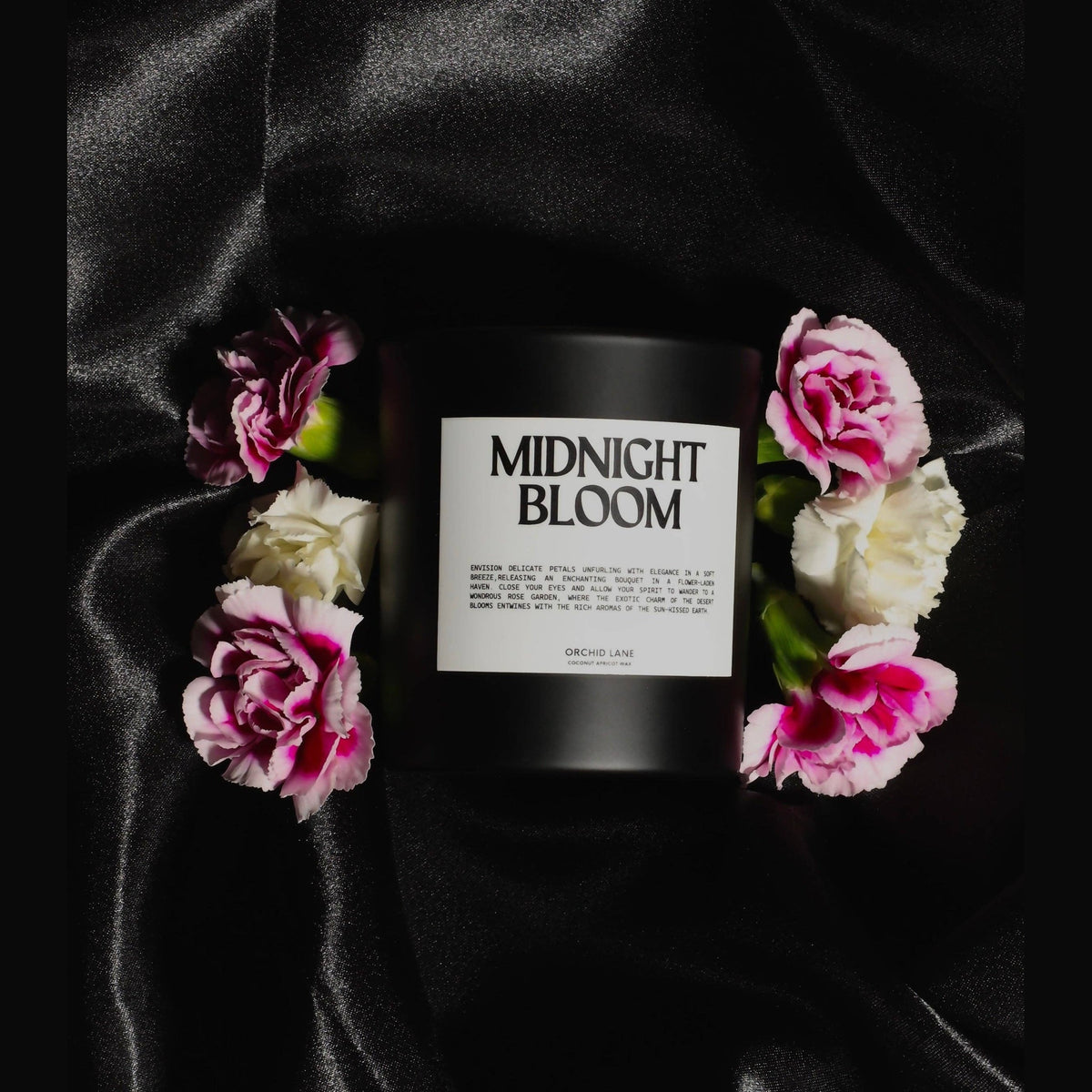 Orchid Lane MIDNIGHT BLOOM