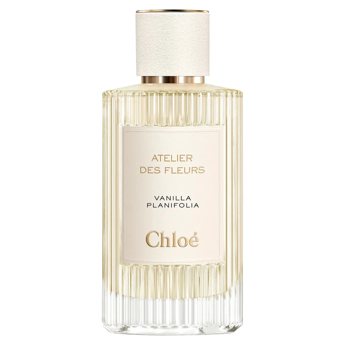 Chloé Vanilla Planifolia EDP Decant | The Scented Journey
