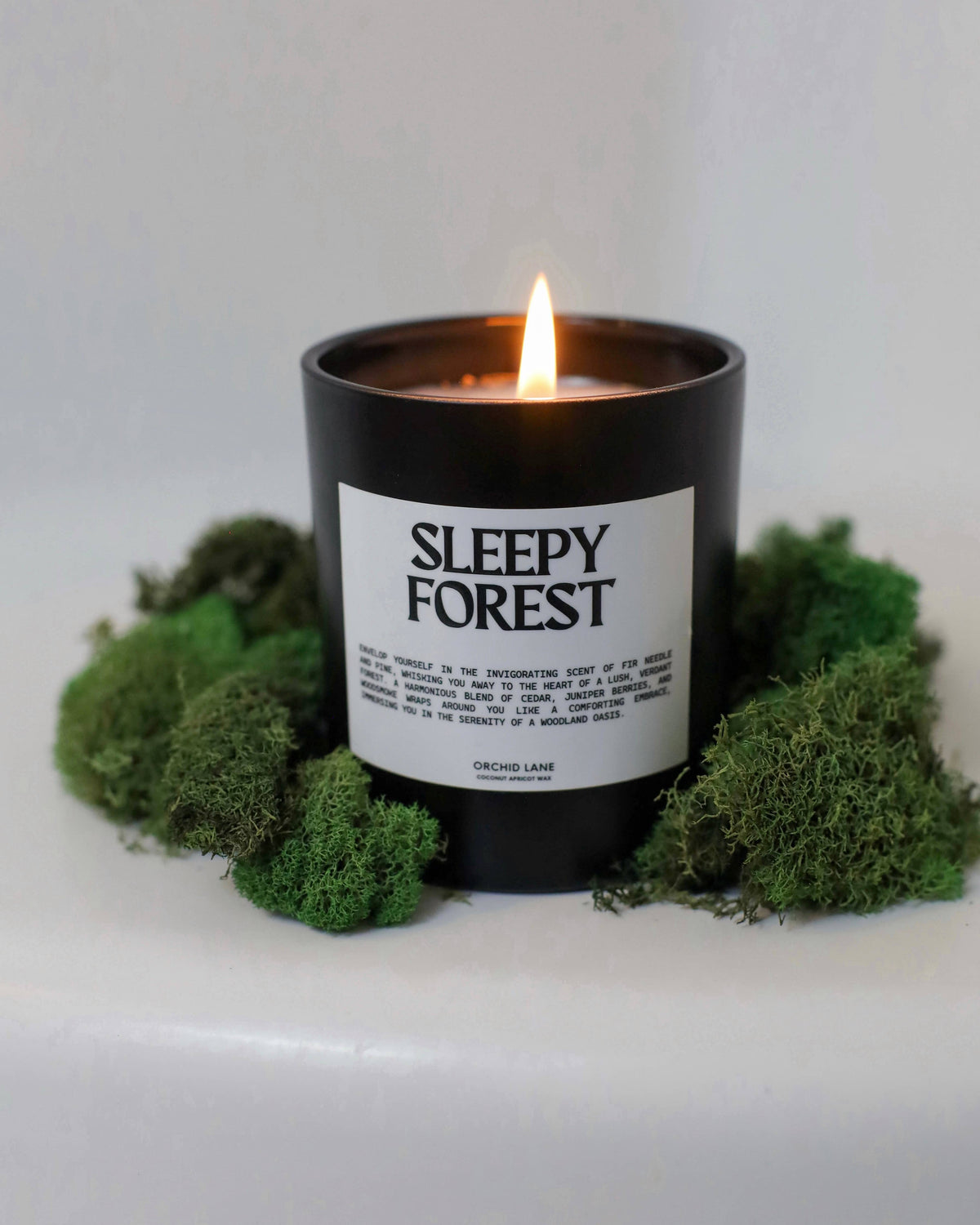 Orchid Lane Sleepy Forest Candle